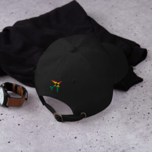 RepatriatetoGhana.com hat