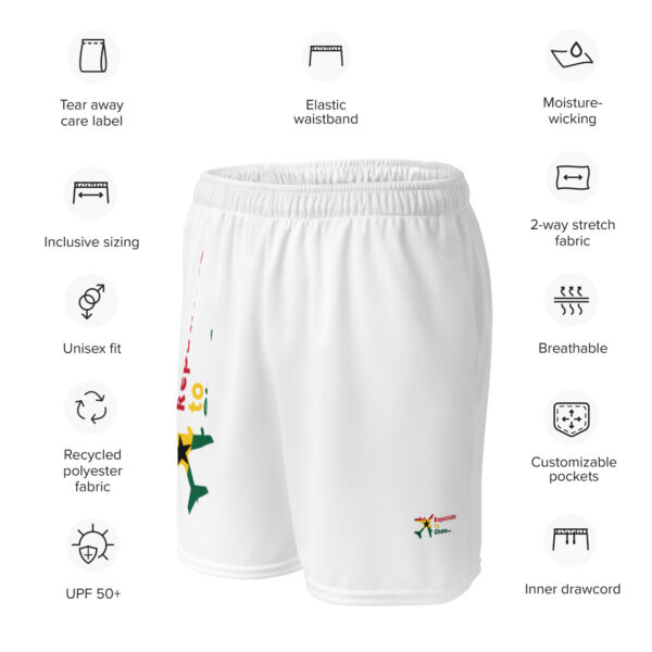 Unisex RepatriateToGhana.com (R2GH.com) mesh shorts