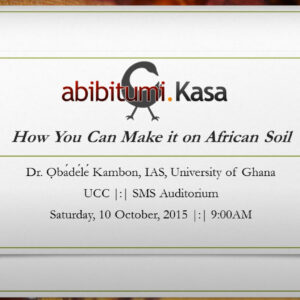 How you can make it on Afrikan Soil: An Abibitumi Kasa Case Study